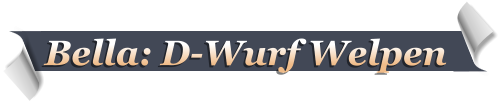 Bella: D-Wurf Welpen